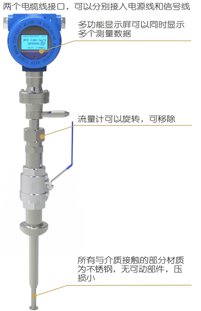 DN200熱式氣體質(zhì)量流量計結(jié)構(gòu)圖